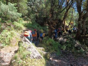 churwadhar-camping-churdhar-trekking-in-rajgarh-himachal-pradesh
