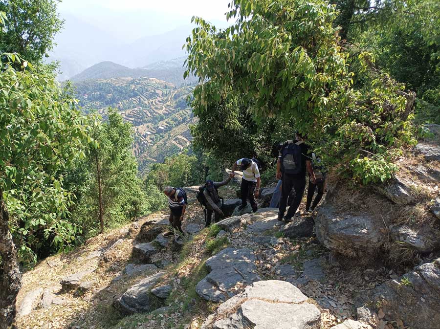 churwadhar-camping-rajgarh-himachal-pradesh-churdhar-trekking-experience